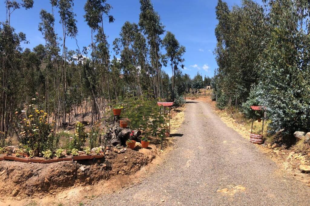 CABAÑA BUENAVISTA es un lugar para descansar. Iza Exterior foto
